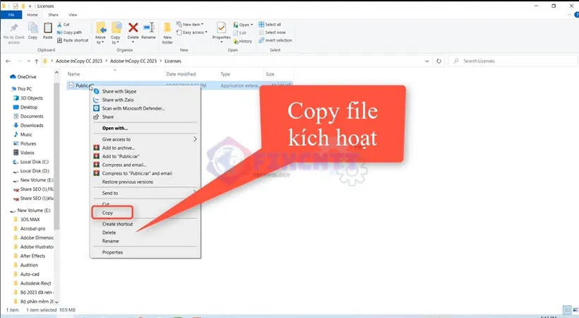 Copy file kích hoạt